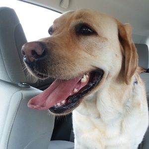 Meet your Posher, Charlotte